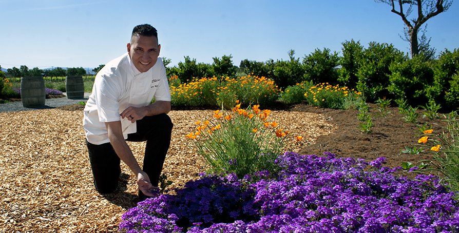 Robert Nieto, Executive Pastry Chef, Jackson Family Wines