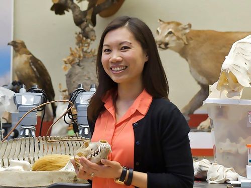 Smiling woman standing amid taxidermy displays, holding an animal skull